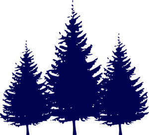 Silhouetted Pine Trees Graphic PNG image