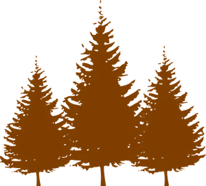 Silhouetted Pine Trees Graphic PNG image