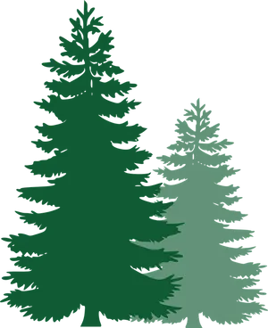 Silhouetted Pine Trees Graphic