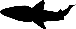 Silhouetted Shark Profile