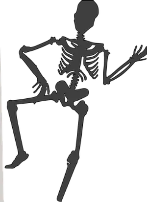 Silhouetted Skeleton Pose PNG image
