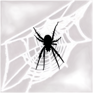 Silhouetted Spideron Web