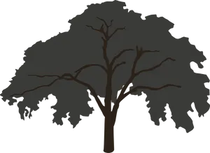 Silhouetted Tree Graphic