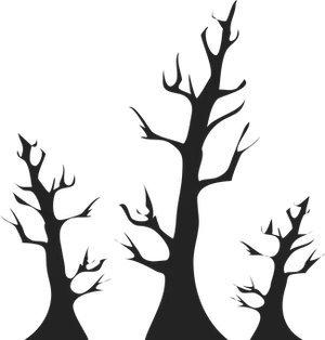 Silhouetted Trees Against Dark Background PNG image