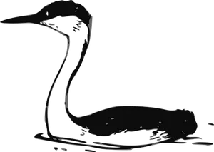 Silhouetted Waterbird Profile