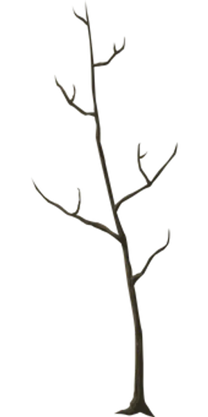 Silhouetteof Bare Tree Against Dark Background