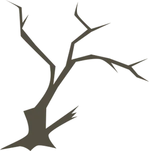 Silhouetteof Bare Tree Branches