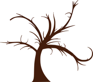 Silhouetteof Bare Tree