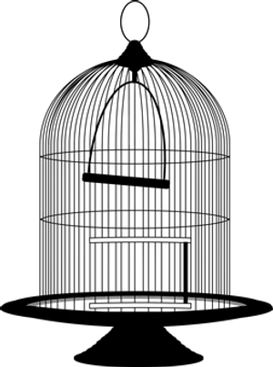 Silhouetteof Birdin Flightat Night
