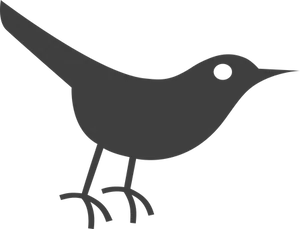 Silhouetteof Birdon Black Background
