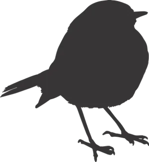 Silhouetteof Birdon Black Background