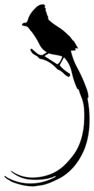 Silhouetteof Birdon Branch