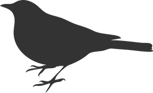 Silhouetteof Birdon Plain Background