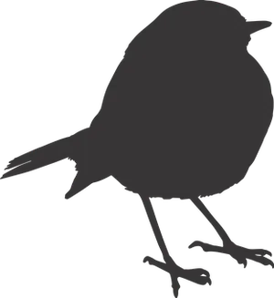 Silhouetteof Birdon Transparent Background PNG image