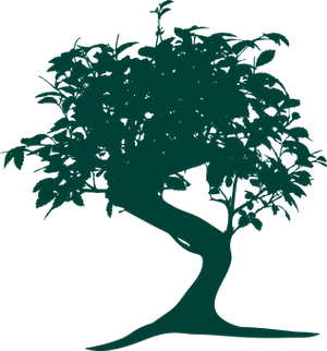 Silhouetteof Bonsai Tree PNG image