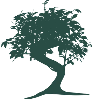 Silhouetteof Bonsai Tree PNG image