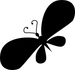 Silhouetteof Butterfly PNG