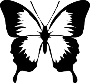 Silhouetteof Butterfly PNG image