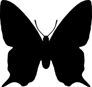 Silhouetteof Butterfly Wings PNG