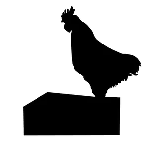 Silhouetteof Chickenon Perch