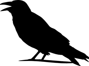 Silhouetteof Crow