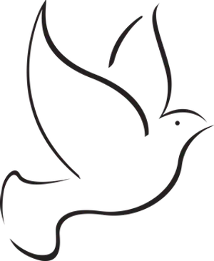 Silhouetteof Flying Bird PNG image