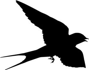 Silhouetteof Flying Black Bird PNG image