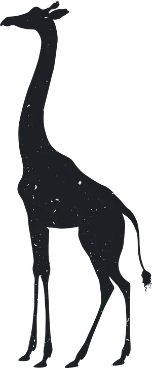 Silhouetteof Giraffe Standing