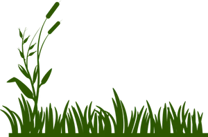 Silhouetteof Grassand Plants PNG image