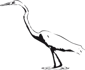Silhouetteof Heron Standing