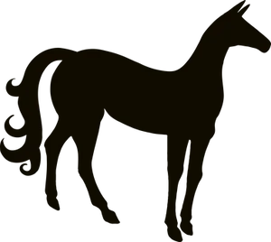 Silhouetteof Horseon Dark Background