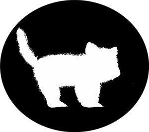 Silhouetteof Kittenon Dark Background PNG