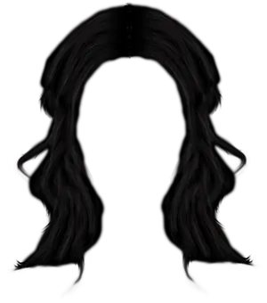 Silhouetteof Long Hairon Black Background PNG