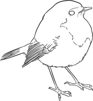 Silhouetteof Perched Bird