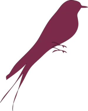 Silhouetteof Purple Bird PNG image