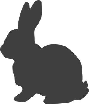 Silhouetteof Rabbit