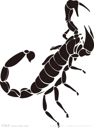 Silhouetteof Scorpion PNG image