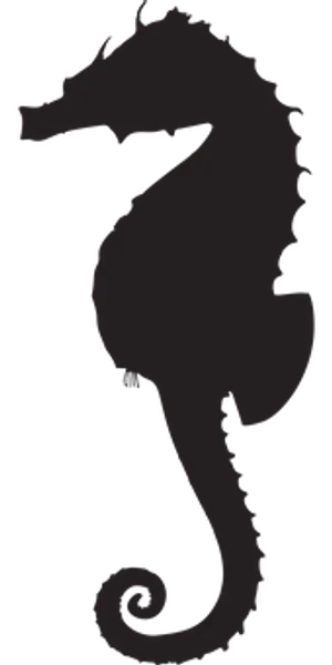 Silhouetteof Seahorseon Black Background