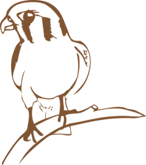 Silhouetteof Sparrowon Branch