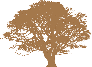 Silhouetteof Treeon Dark Background.jpg