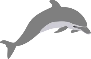 Silhouetteofa Dolphin PNG image