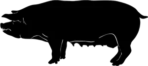 Silhouetteofa Pigon Black Background PNG image
