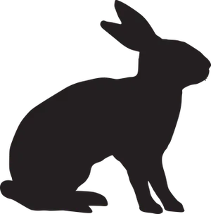 Silhouetteofa Rabbit