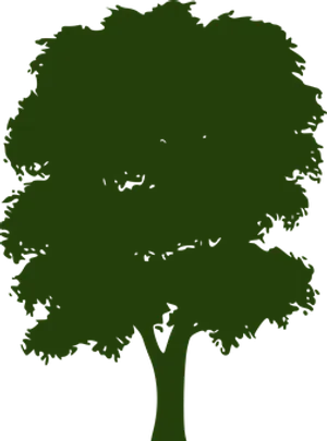 Silhouetteofa Treeon Black Background