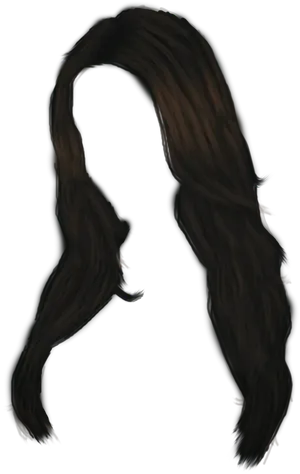 Silhouettewith Long Hair PNG
