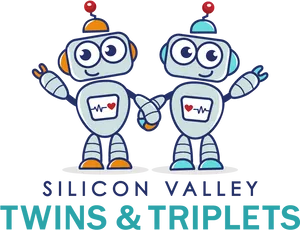 Silicon Valley_ Twins_ Robots_ Vector PNG image
