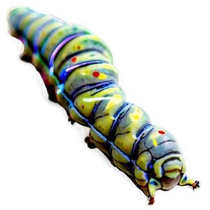Silkworm Caterpillar PNG Brg