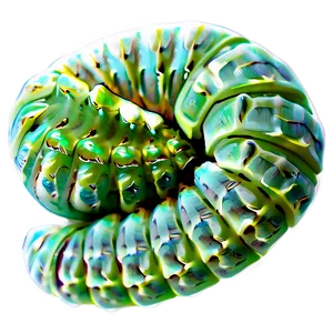 Silkworm Caterpillar PNG Fxi