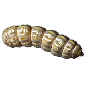 Silkworm Image Png 05242024 PNG image