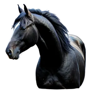 Silky Mane Black Horse PNG 06262024 PNG